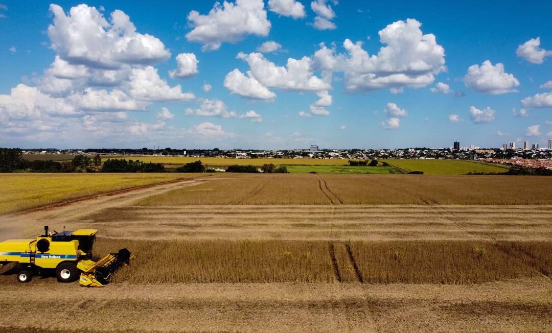 Agronegócio e mineração lideram investimentos, avançam em tecnologia e puxam outros setores