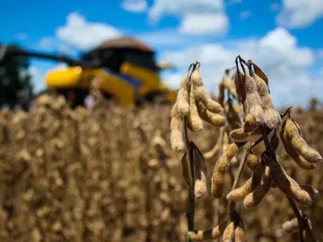 Faturamento do agronegócio deve ultrapassar R$ 68 bilhões em MS