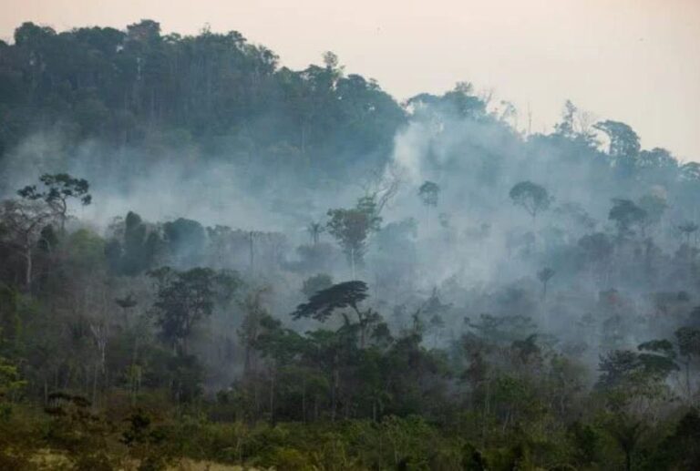 Indústria quer tentar agenda positiva do meio ambiente na COP26
