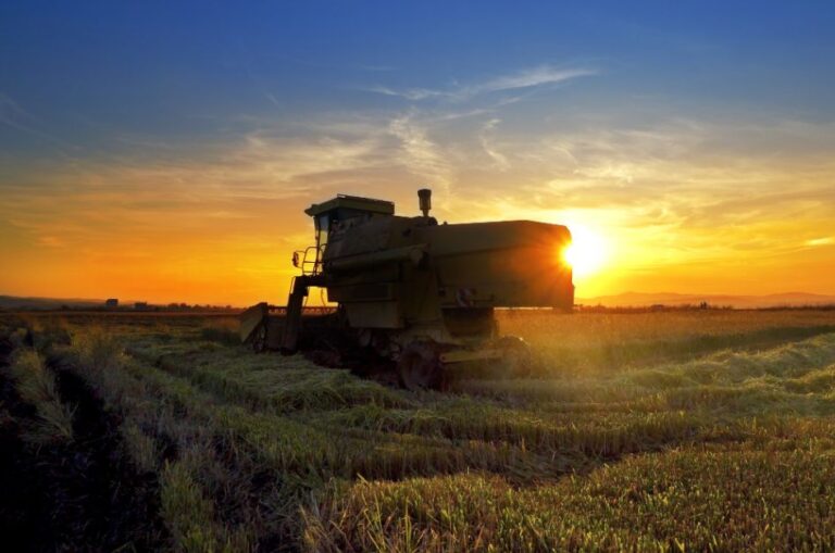 ‘A infraestrutura sobe de escada, enquanto a produção, de elevador’: fórum debate logística do agro