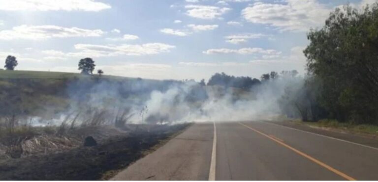 Limpeza de margens e resfriamento do asfalto: SP investe R$ 65 milhões na prevenção de incêndios na beira de rodovias